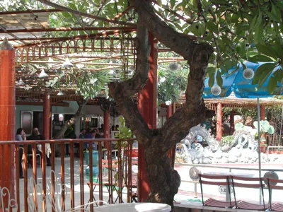 First Hotel – 照片 6